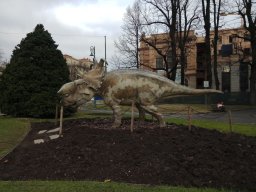 Bergamo - Pachyrhinosaurus Piazza Vittorio Veneto