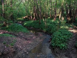 Parco dei Colli, Bergamo